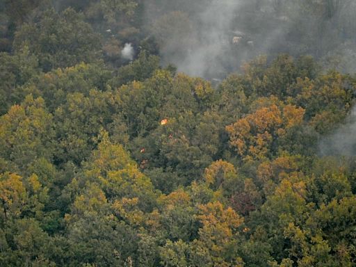 WWF alerta de fallos crónicos en el plan griego antiincendios tras el desastre del pasado verano