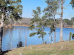 15228 W Winds Rd, Northport AL 35475