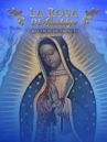 La Rosa de Guadalupe: relatos de impacto