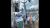 Angler catches 640-pound blue marlin worth a world-record $6.2 million