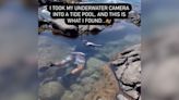 A Hidden World: Astounding Footage Uncovers The Secrets Hidden Within Tide Pools