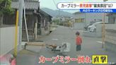 反光鏡被狗尿斷！日本男童過馬路慘遭鐵棒砸頭 驚悚畫面曝光