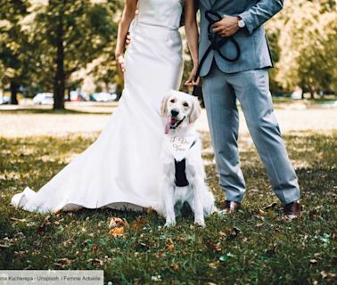 Aux États-Unis, votre témoin de mariage peut être... votre chien