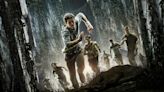 ‘The Maze Runner’ Reboot in The Works, Details for New Movie Revealed