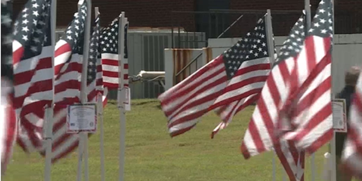 Machinists Union, United Way honor veterans with ‘Flags of Freedom’ display