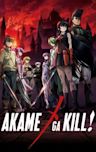 Akame Ga Kill