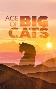 Age of Big Cats