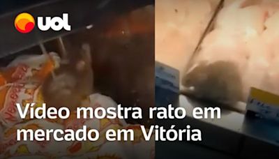 Vídeo mostra rato andando em freezer e mercado em Vitória é interditado parcialmente; veja