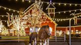 Here's how to celebrate the holidays with Budweiser Clydesdales at Warm Springs Ranch