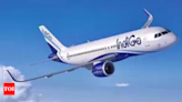 IndiGo to unveil new look and modern architecture of its website and mobile application - Times of India