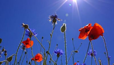 Solstice d’été ce jeudi 20 juin : qu'est-ce que c'est ?