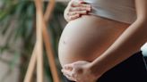 “Hay un vacío legal”. Cuál es el método de reproducción asistida que crece cada vez más en el país y el Papa pide prohibir