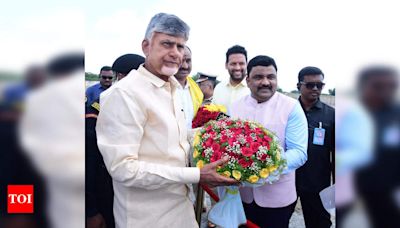 Resolve to make state Swach Andhra Pradesh by 2029: CM Chandrababu Naidu tells people | India News - Times of India