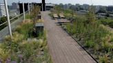 11 Acres of Plant-infused Green Roofs Go ‘Blue’–Capturing Rainwater in Flood-Prone Amsterdam - Good News Network