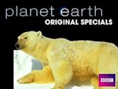 The Making of Planet Earth