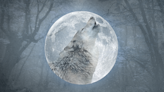 Wolf Moon Meaning 2024: The Spiritual Significance of January’s Full Moon