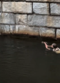 Viral video shows woman saving ferret during Waterfire Providence | ABC6