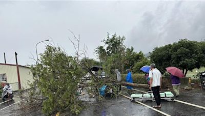 彰化郵差遭路樹砸死 生前傳訊友「天雨小心」 訊息曝光令人不捨 - 社會