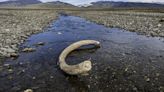 Girl discovers 100,000-year-old mammoth bones in Russian river while fishing with dad