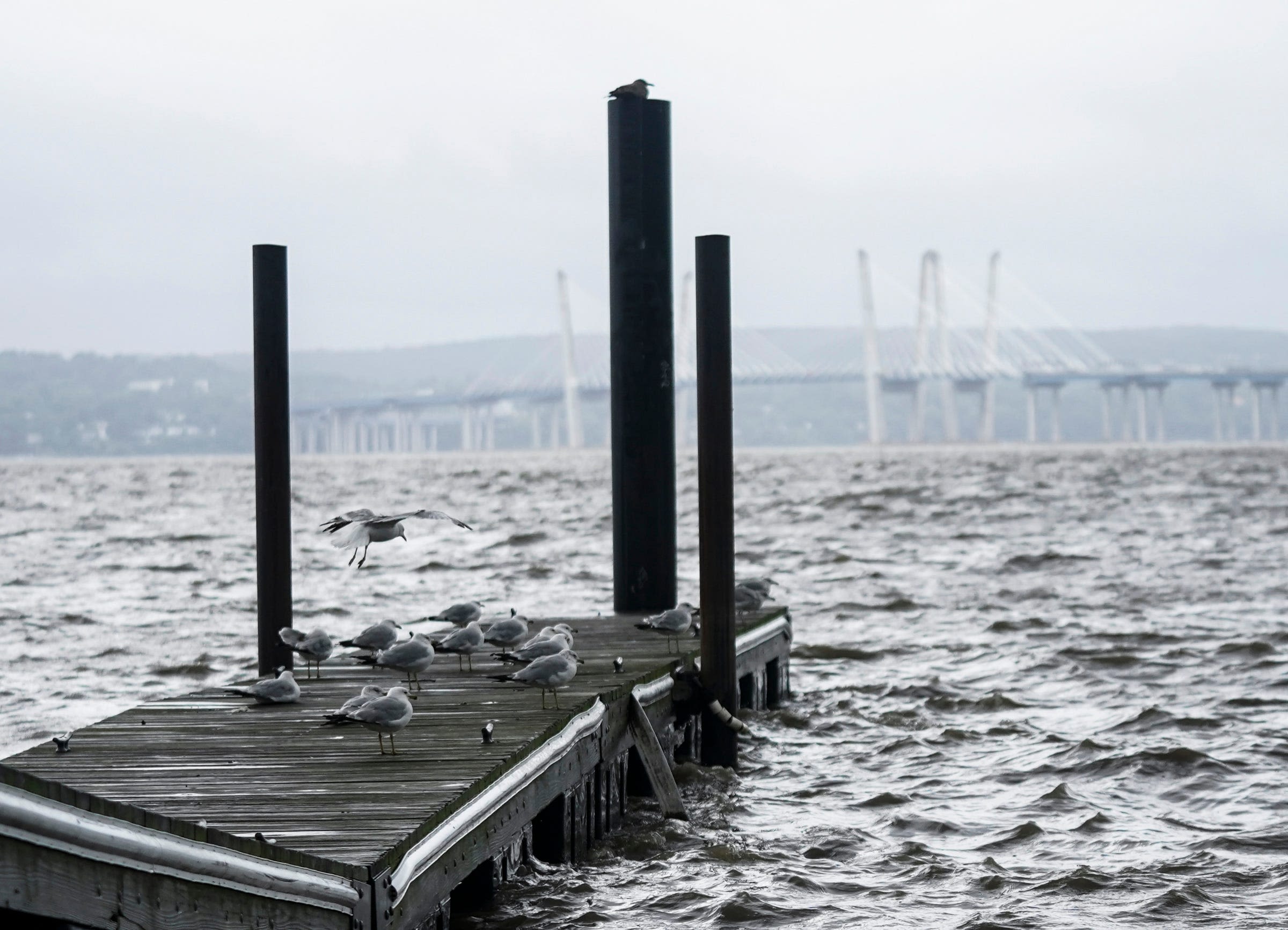 Debby storm remnants brought high winds to NY airports Friday