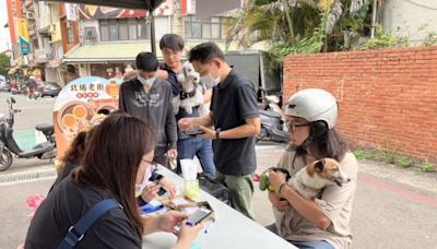 竹縣狂犬病預防注射及寵物登記巡迴活動 | 蕃新聞