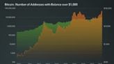 Bitcoin Wallets with $1K Balances Jump 20% Since Start of 2024: Fidelity