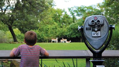 Send us your photos from Somerset County Day at the Pittsburgh Zoo!