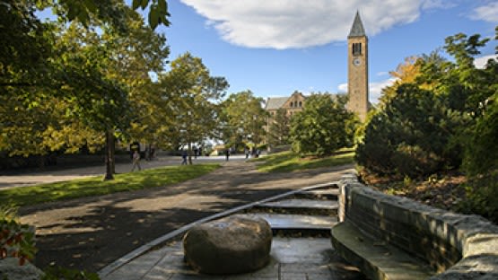 Faculty, staff win 2024 SUNY Chancellor’s Awards for Excellence | Cornell Chronicle