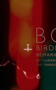 Bob Birdnow's Remarkable Tale of Human Survival and the Transcendence of Self