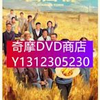 DVD專賣 2021大陸劇 山海情/閩寧鎮（國語+西北方言） 黃軒/張嘉益 高清盒裝4碟