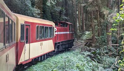 颱風山陀兒將襲台 全台交通、國家公園異動一覽