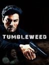 Tumbleweed: A True Story