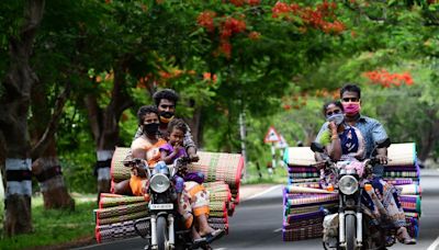 A boulevard of neem and tamarind trees in Pollachi serve as guardians of a thriving bio-diversity