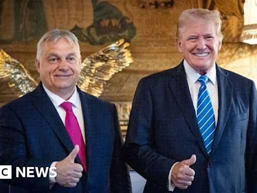 Hungary's Orban goes global as self-styled peacemaker without a plan