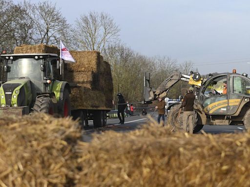 France : pour les agriculteurs, l'une des pires récoltes de blé depuis des années à cause des pluies