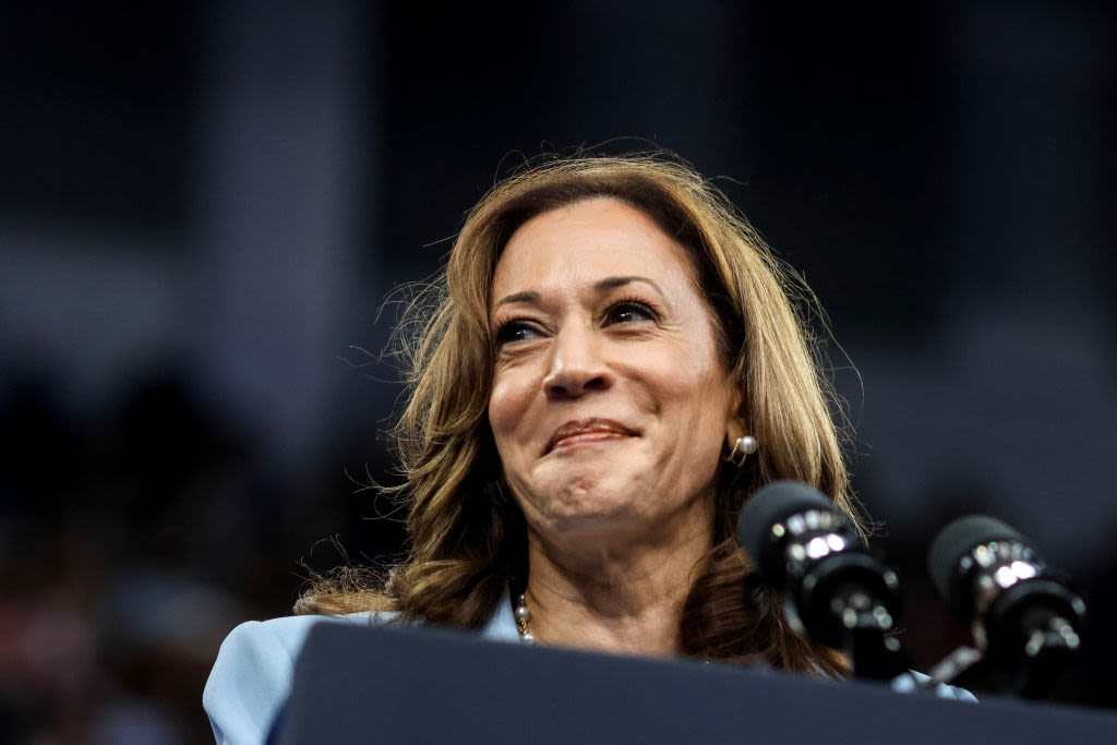 Kamala Harris holds first rally in Atlanta as Democratic presumptive nominee