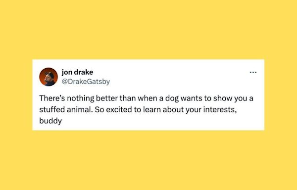 29 Of The Funniest Tweets About Cats And Dogs This Week (July 13-19)