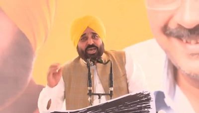 "Should I Send Them To Lahore?": Bhagwant Mann On Protesting Farmers