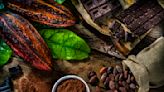 Hershey warns ‘sustained high prices’ of cocoa will drive inflation in 2025, but will not affect fiscal 2024