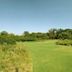 Kirstenbosch National Botanical Garden