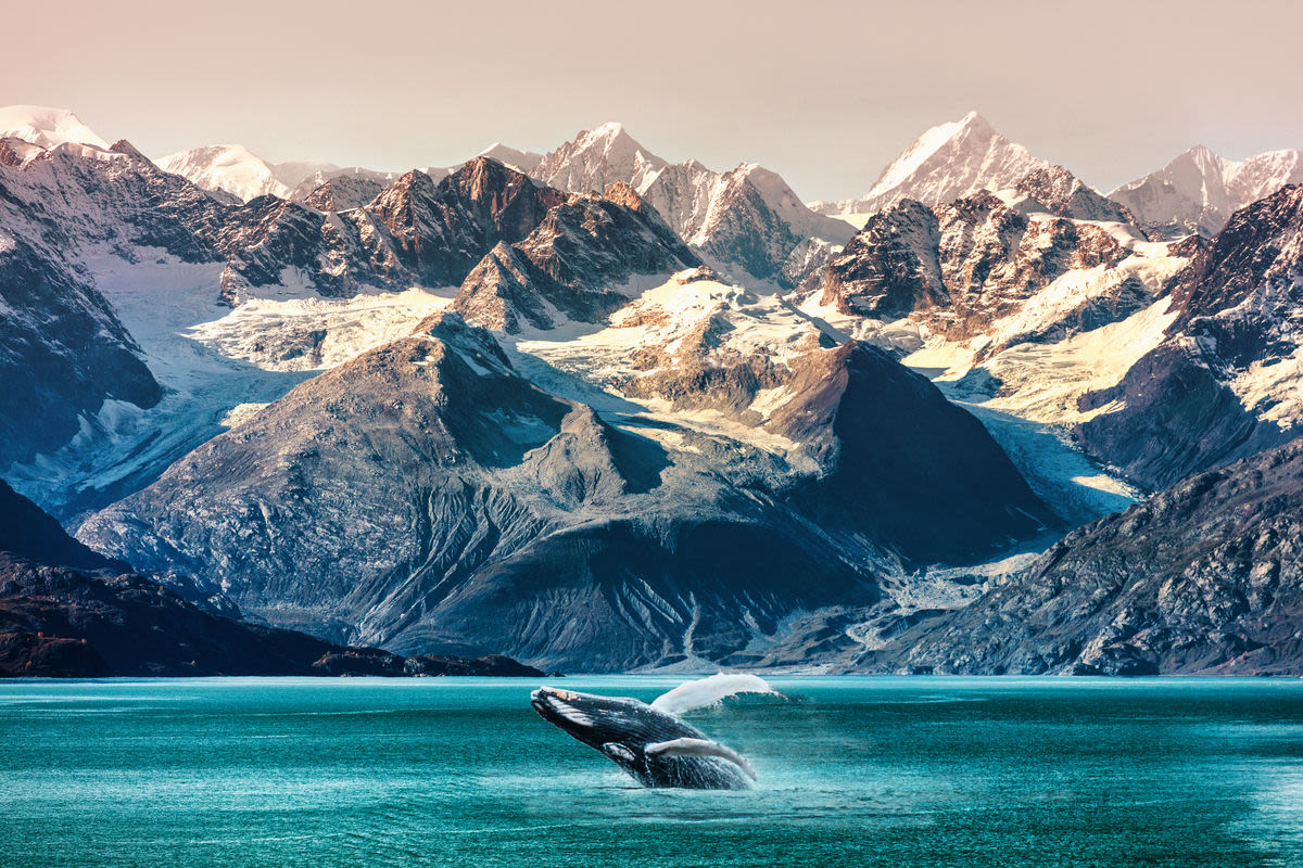 Juneau, Alaska, To Vote On Cruise Regulations