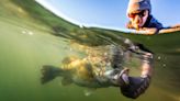 Big Swimbaits for Big Bass: New AFTCO YouTube Video Will Get You Thinking Big