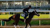 Outspoken horse racing owner hopes Fierceness can snap his Kentucky Derby hex - The Boston Globe