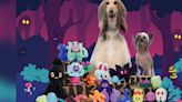 Fresno Nightcrawler dog toys? BarkBox is in on the local mystery