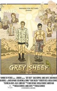 Grey Sheep