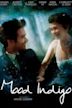 Mood Indigo (film)