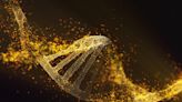 Decades-Old Mystery Solved: Scientists Crack the Code of DNA Repair