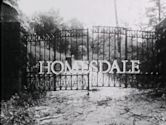 Homesdale