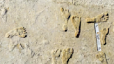 Human footprints in U.S. date back 21,000 to 23,000 years: study