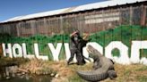 ‘Happy Gilmore’ alligator retired after wrecking set of ’90s sitcom: caretaker